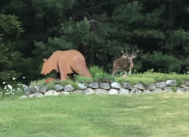 269 Rollins Road Newbury, NH 03255 - Photo 31 of 39