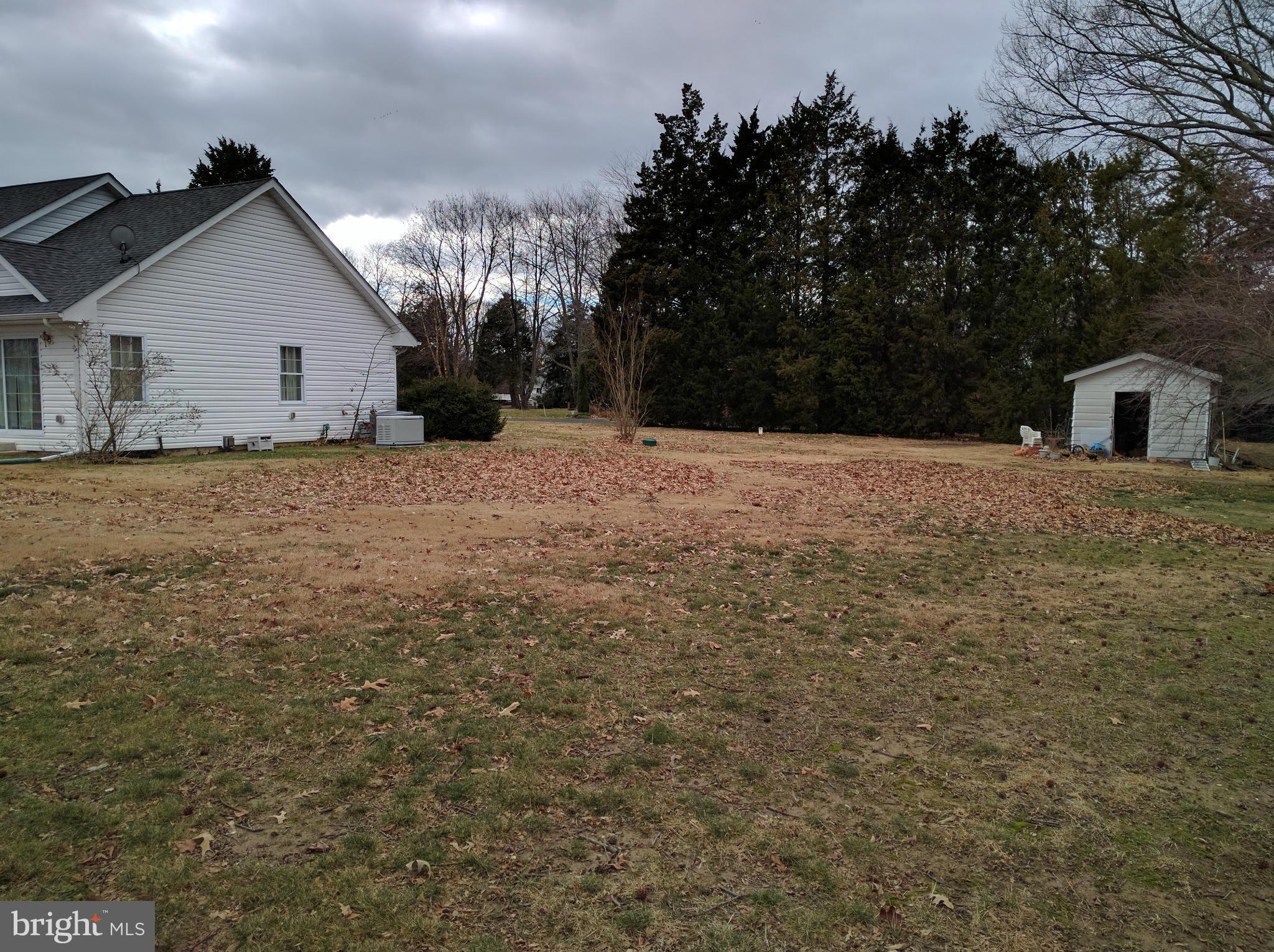 419 Cove Road Queenstown, MD 21658 - Photo 14 of 18 Side yard and shed