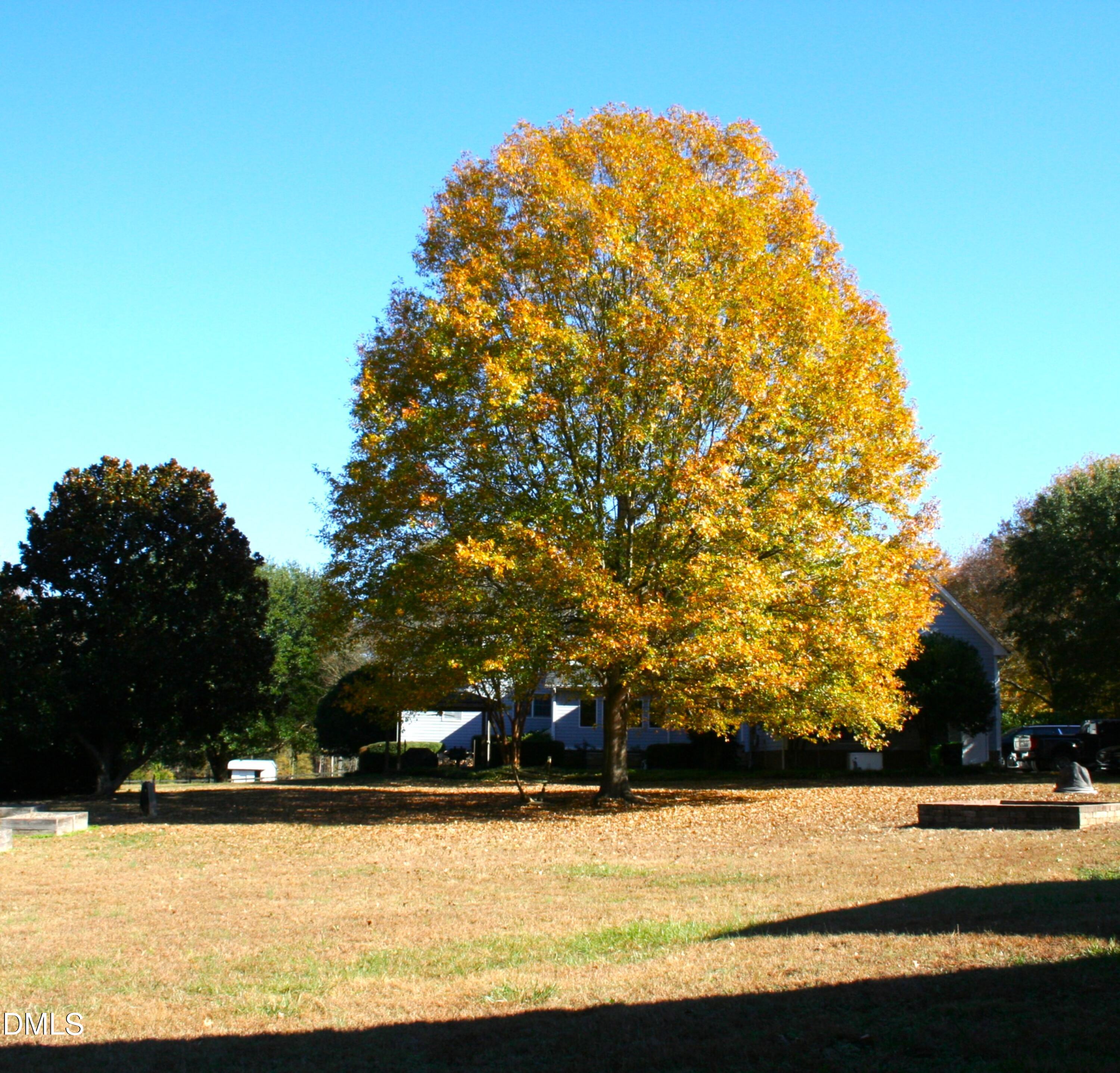 220 Jordan Narron Road Selma, NC 27576 - Photo 79 of 87 a view of a yard with large trees