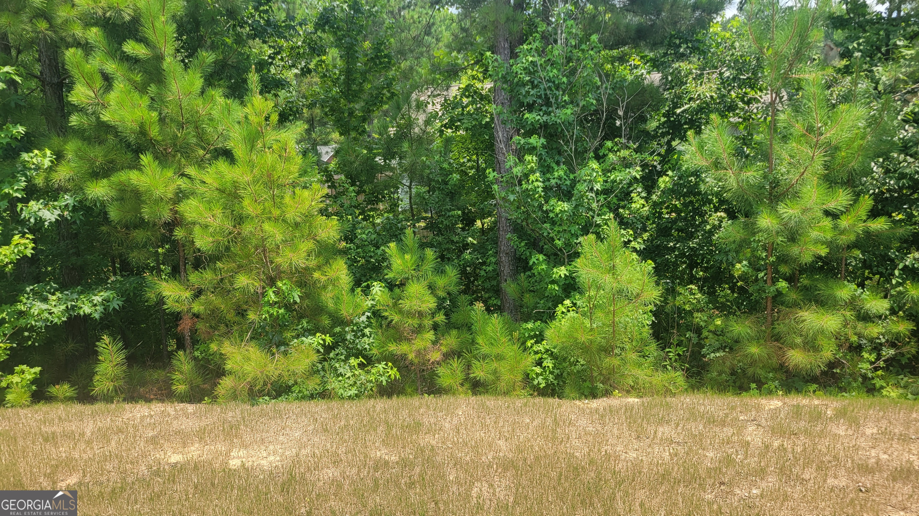 10 Bayberry Circle Southwest Rome, GA 30165 - Photo 36 of 38 a view of a yard with a tree