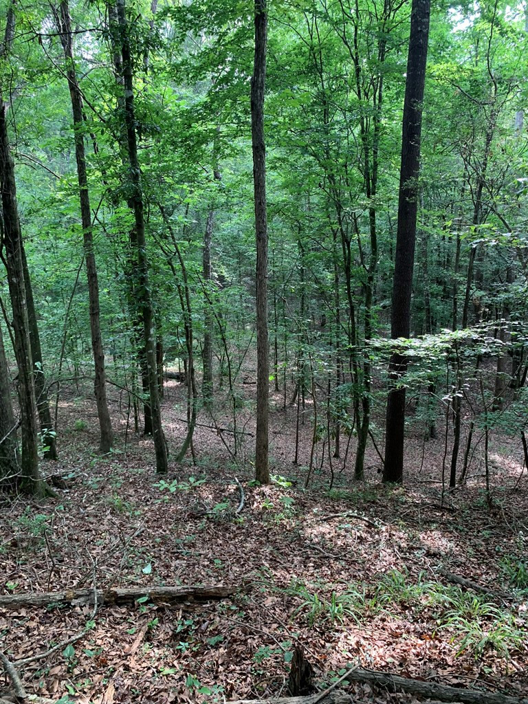 . Pickwick Road Foxworth, MS 39483 - Photo 23 of 68 Photo 23