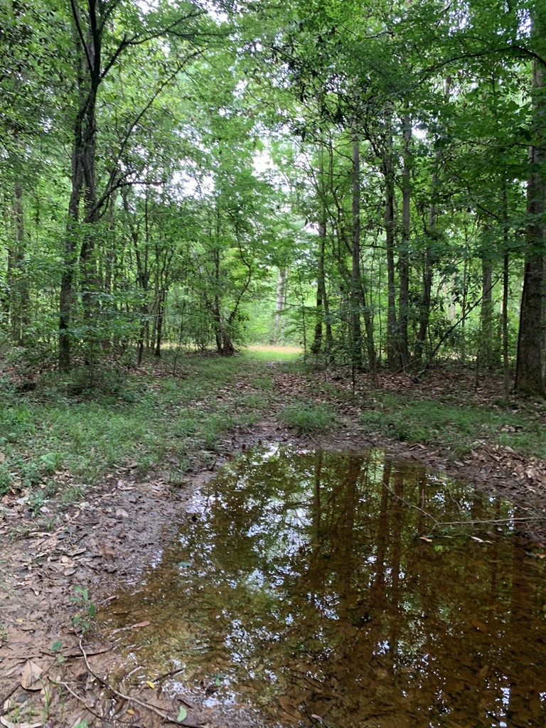 . Pickwick Road Foxworth, MS 39483 - Photo 30 of 68 Photo 30