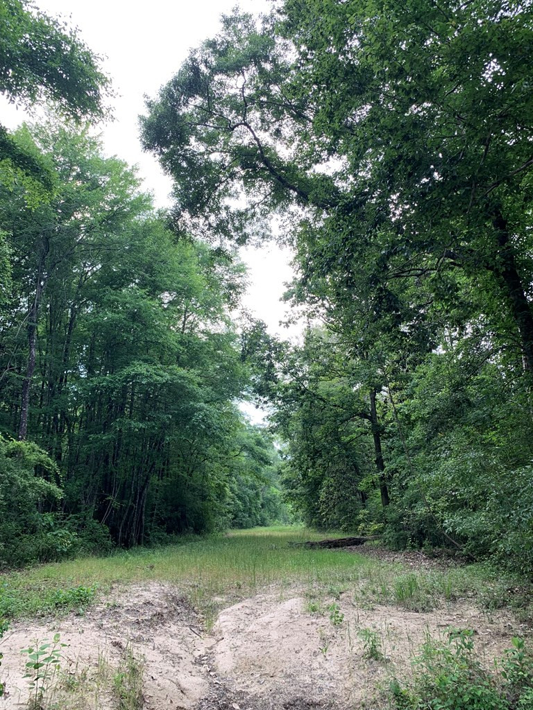 . Pickwick Road Foxworth, MS 39483 - Photo 38 of 68 Photo 38