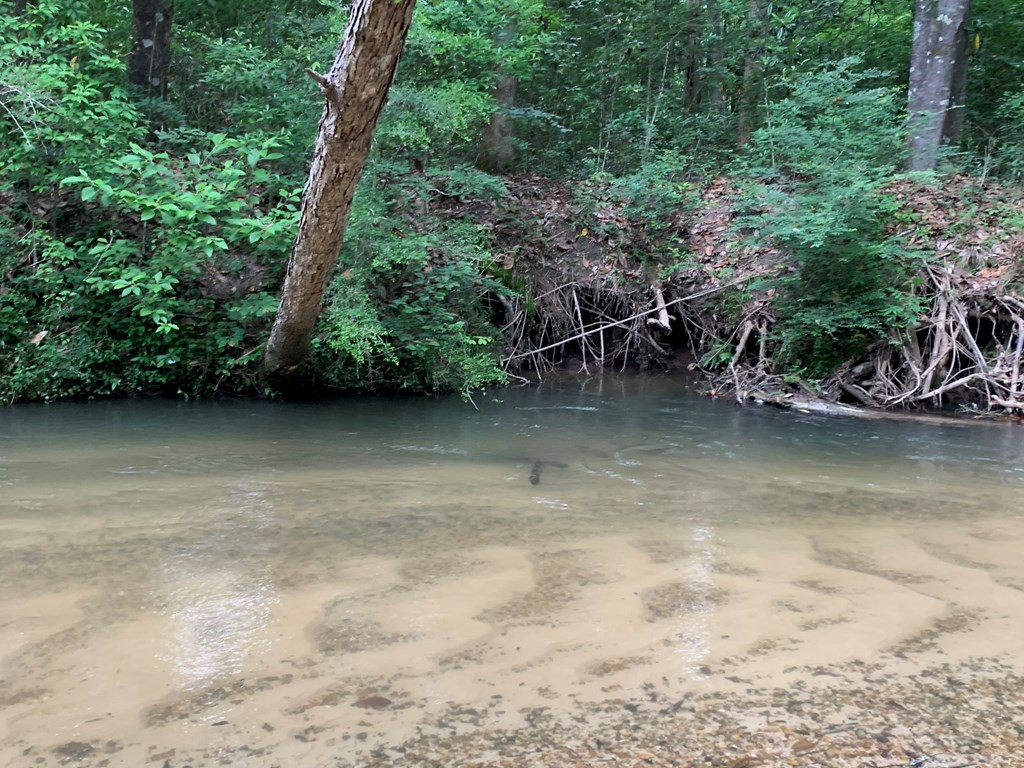 . Pickwick Road Foxworth, MS 39483 - Photo 45 of 68 Photo 45