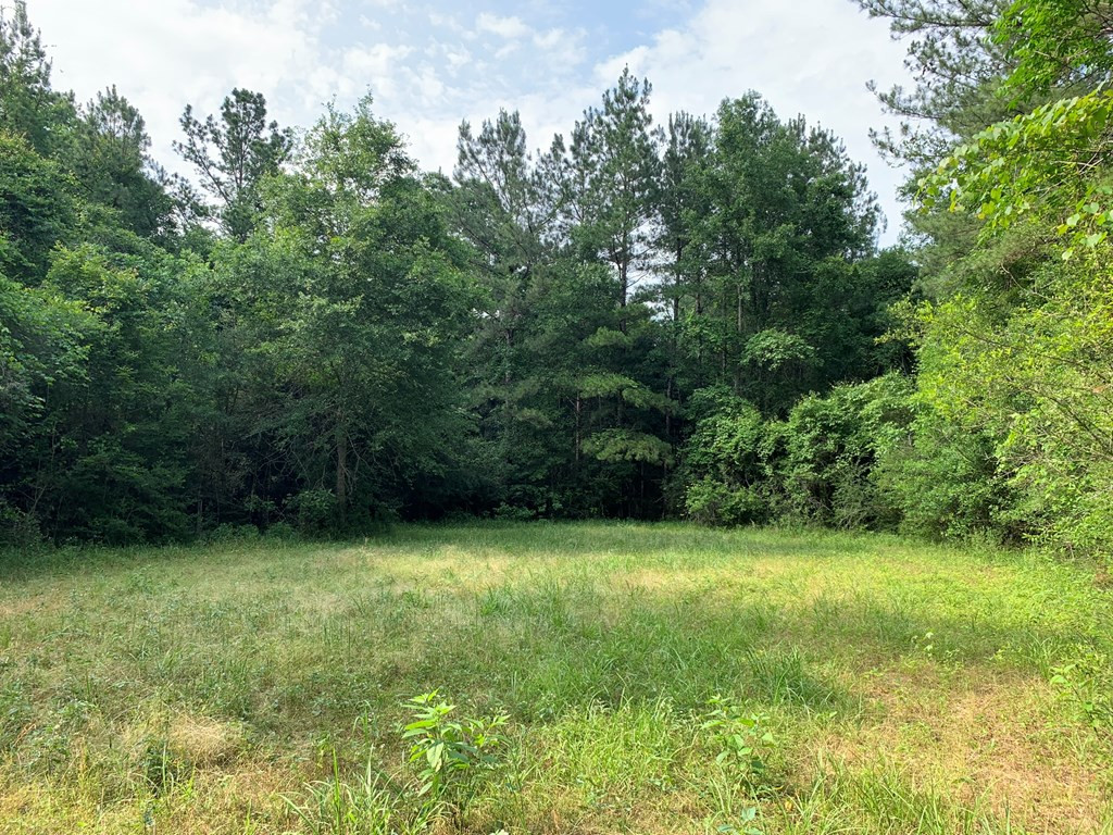 . Pickwick Road Foxworth, MS 39483 - Photo 5 of 68 Photo 5