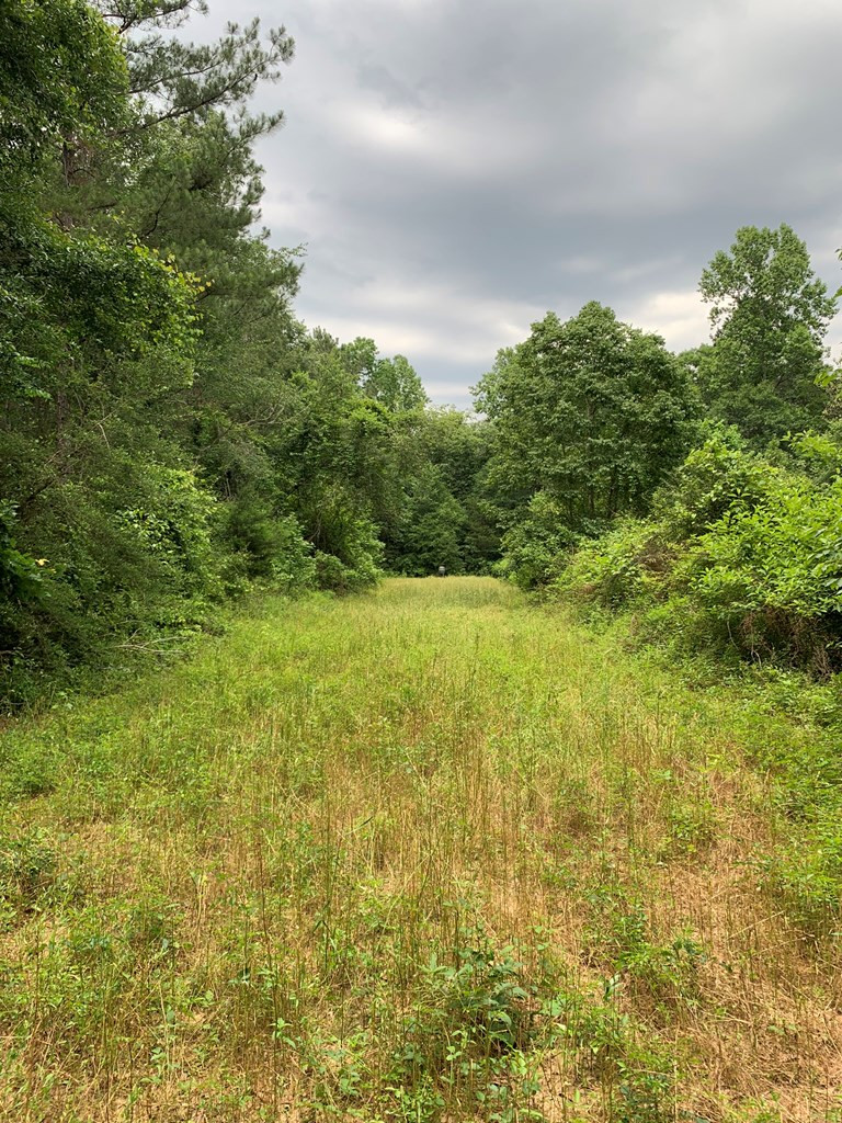 . Pickwick Road Foxworth, MS 39483 - Photo 60 of 68 Photo 60