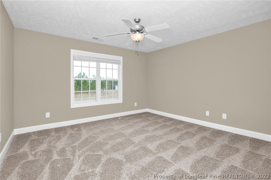 701 Hendrix Road Raeford, NC 28376 - Photo 36 of 47 Gallery Image 36