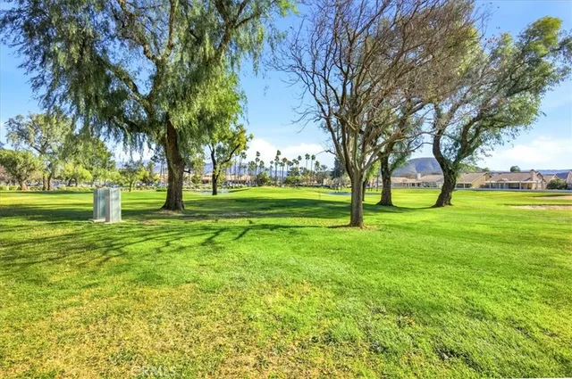 a view of a trees with a big yard