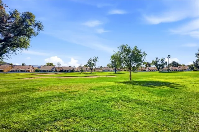a view of field with tall trees