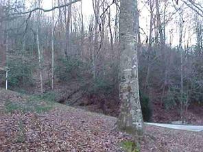 180 Haigler Road Lenoir, NC 28645 - Photo 8 of 9 Gallery Image 8
