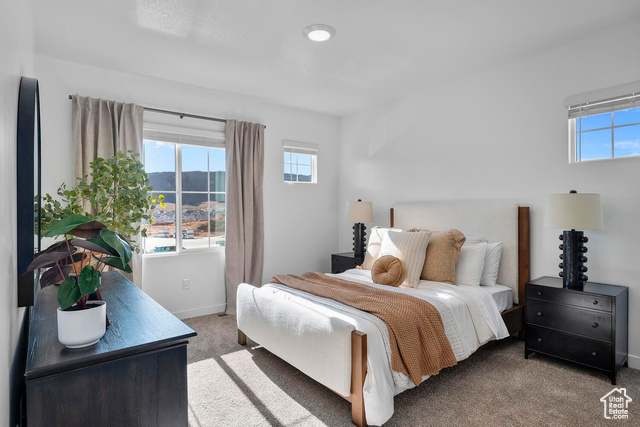 1734 Ripple Rock Drive, Unit 3163 Washington, UT 84780 - Photo 18 of 54