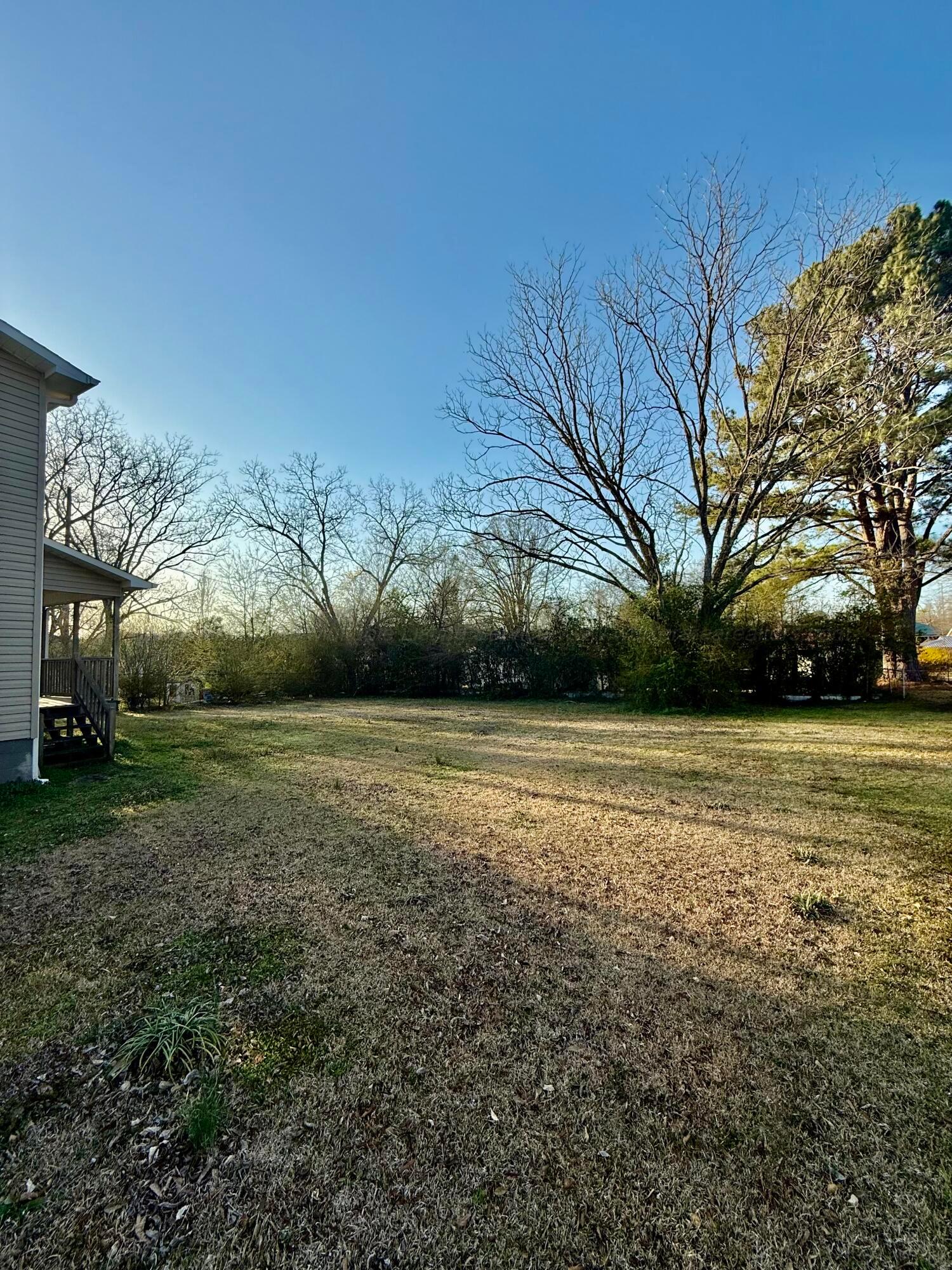 181 Foothill Road Winfield, AL 35594 - Photo 26 of 26 Back yard