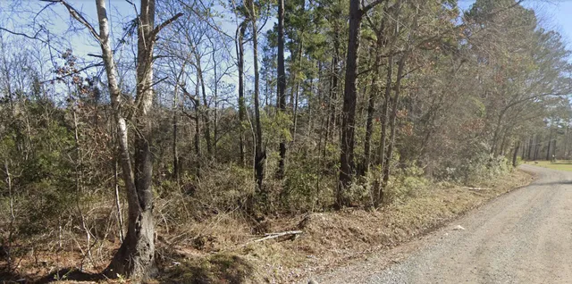 $85,000 | 0 Dike Road, Bonneau, SC 29431