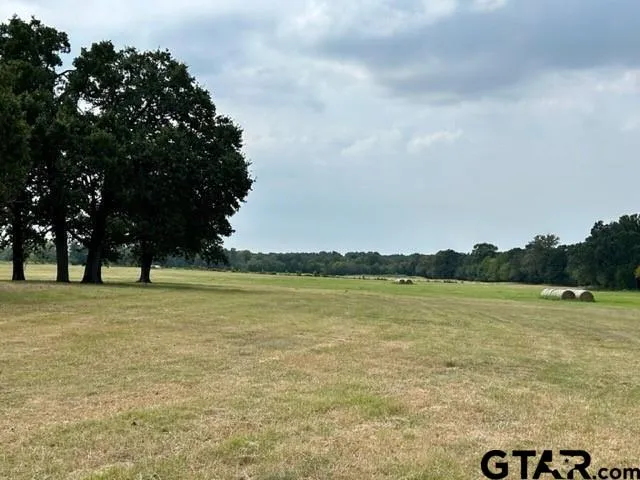 a view of an ocean from a yard