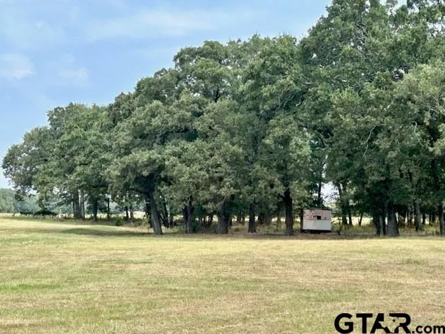 a view of outdoor space with trees