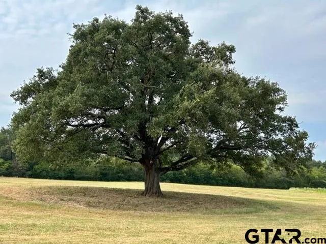a view of an outdoor space with a lake view
