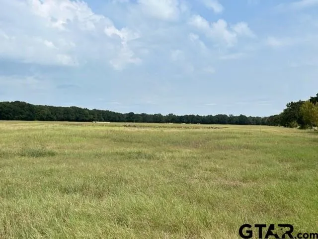 a view of an ocean and beach