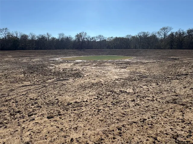 a view of outdoor space and trees