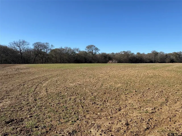 a view of an ocean beach