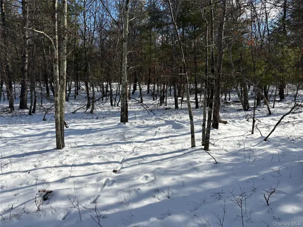 a view of covered with green space