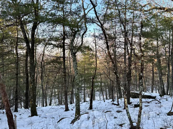 a view of outdoor space with lots of trees