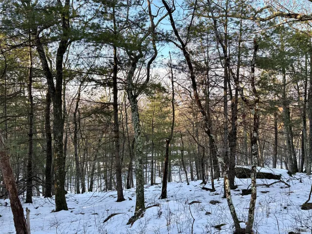a view of a house with a mountain