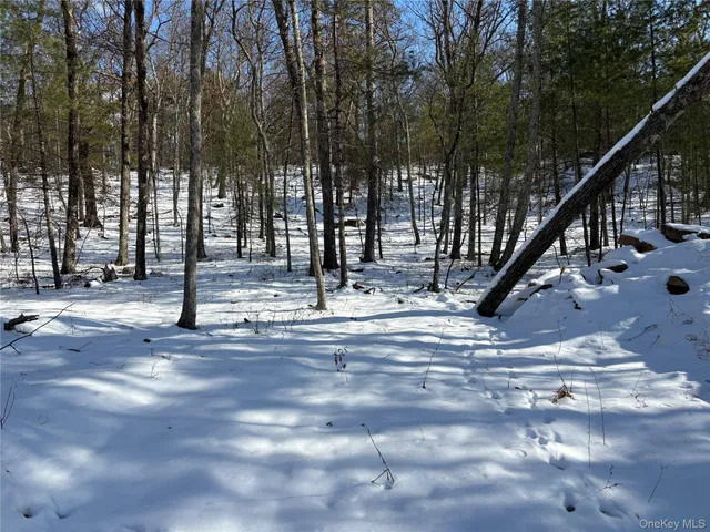 a close up of a swimming pool