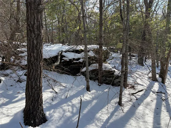 a view of a yard with snow on the road