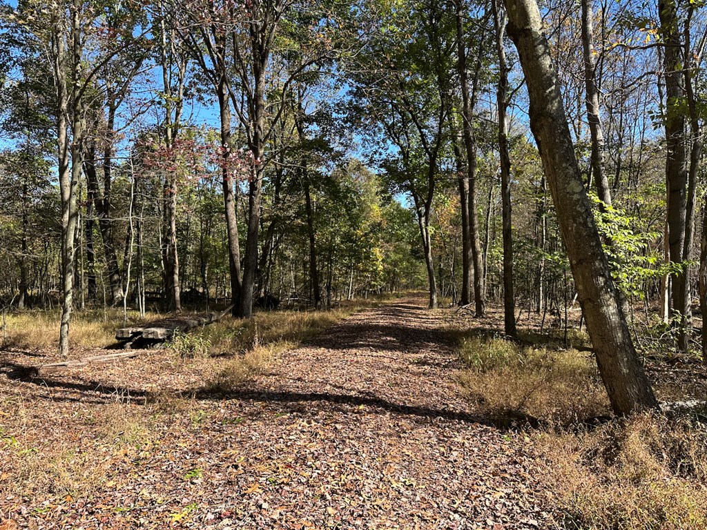 345 South Penn Road Franklin, PA 16323 - Photo 2 of 12 a view of a yard with a tree