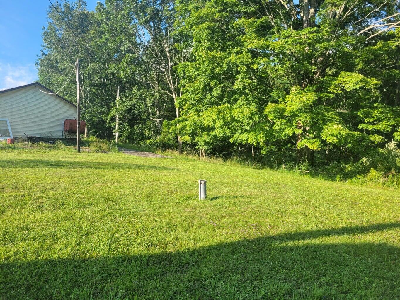 2172 Back Mountain Road Cass, WV 24927 - Photo 17 of 20 Gallery Image 17