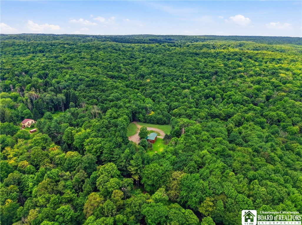 5689 Fenner Road Stockton, NY 14782 - Photo 46 of 50