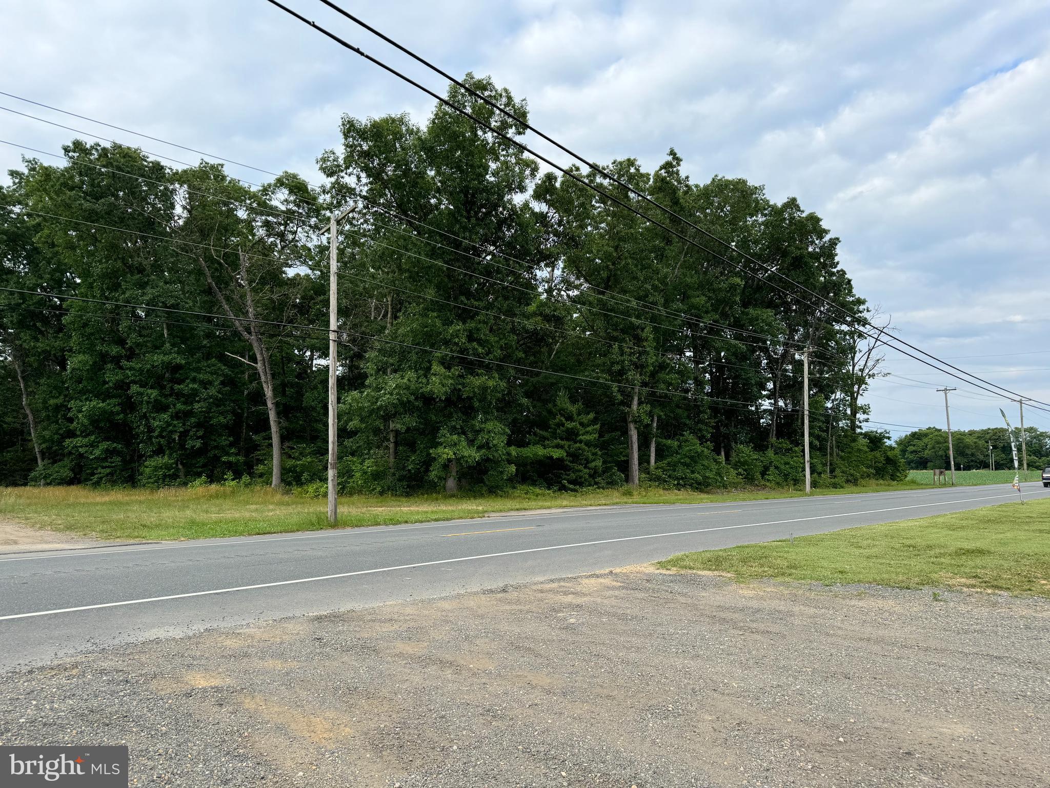 0 Harding Highway Newfield, NJ 08344 - Photo 3 of 4