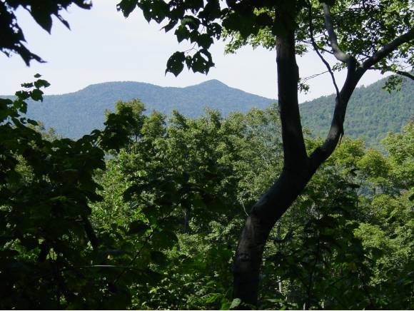 6501 Brandon Mountain Road Rochester, VT 05767 - Photo 1 of 1 Gallery Image 1