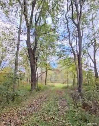 37 Risch Road North Webberville, MI 48892 - Photo 7 of 20