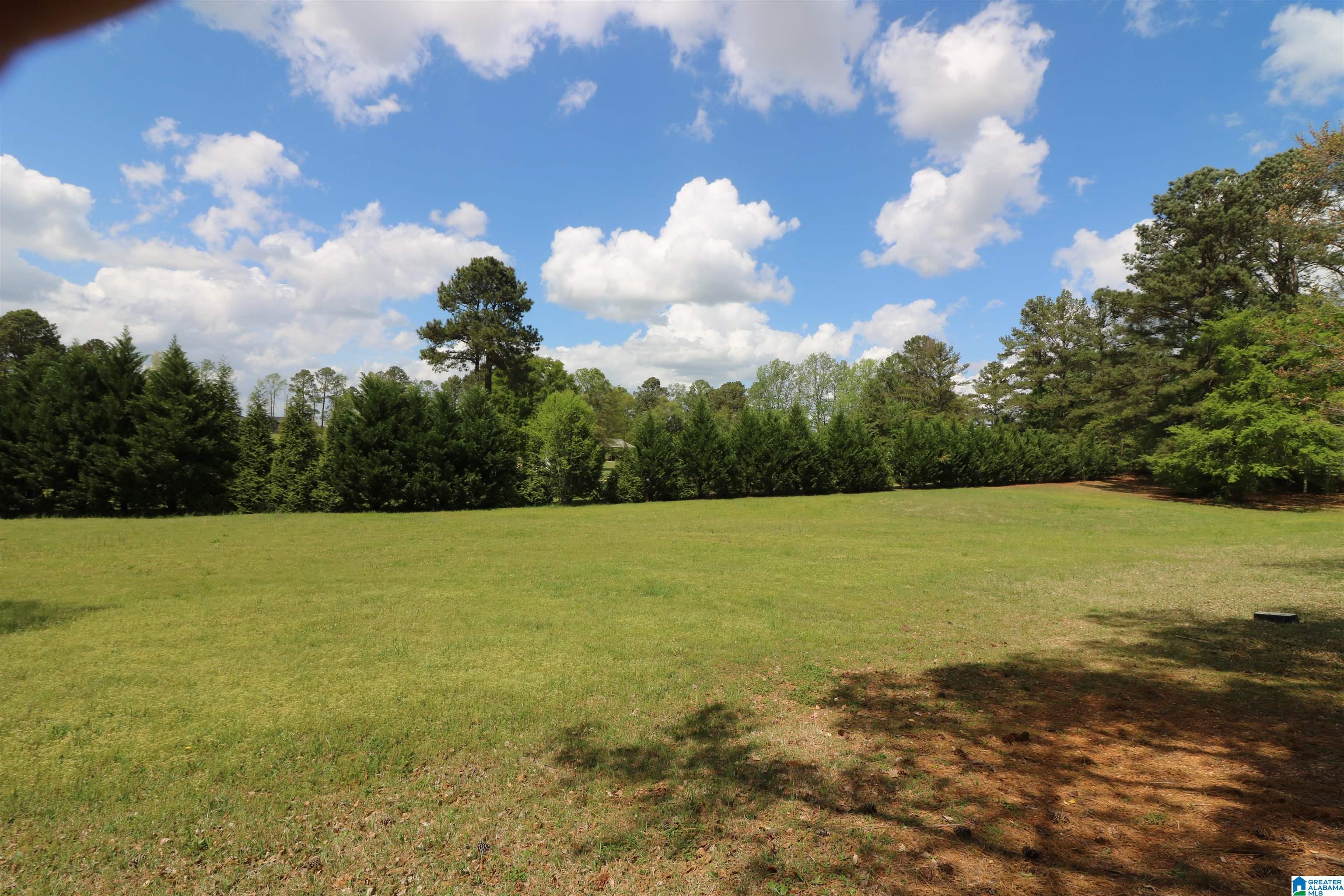 210 Roberts Circle Lincoln, AL 35096 - Photo 59 of 72