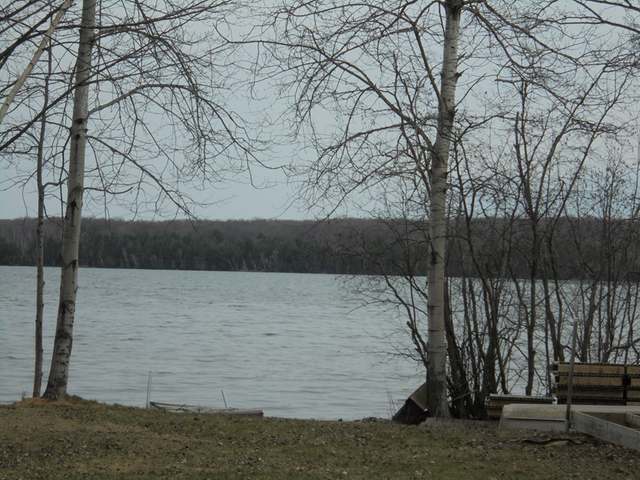 16774 Wilderness Eagle River, WI 54521 - Photo 2 of 20 Gallery Image 2