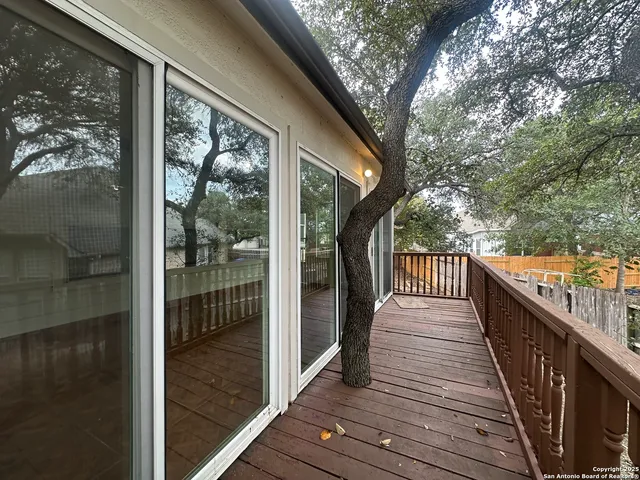 a view of a yard with plants and tree