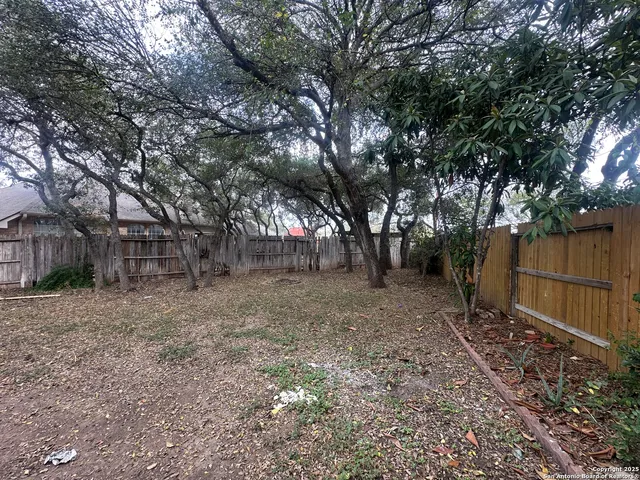 a view of a backyard with plants and large tree