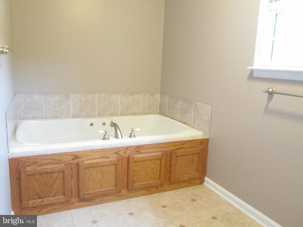 1170 Silver Run Valley Road Westminster, MD 21158 - Photo 15 of 30 Master Bath Jacuzzi Tub