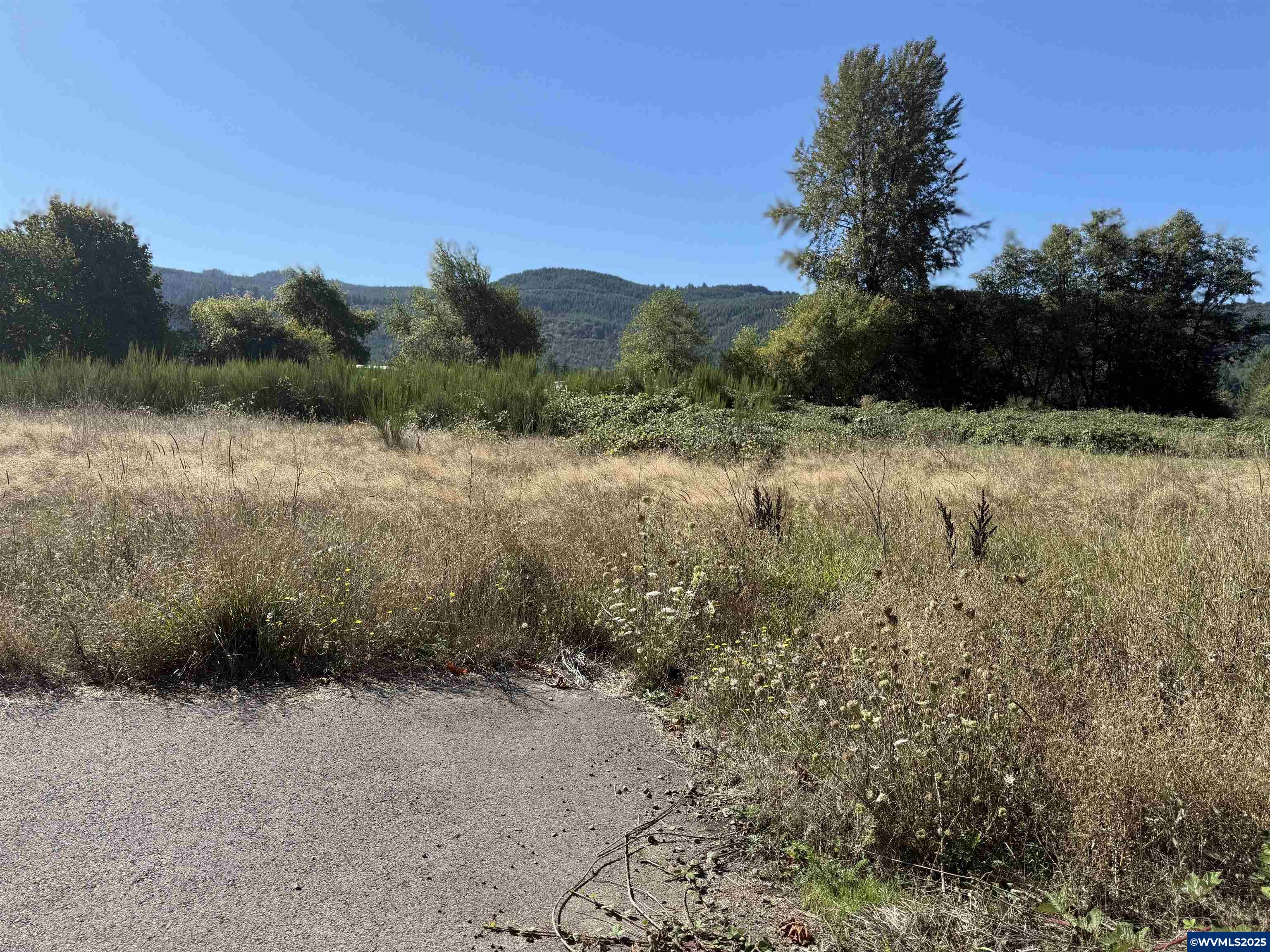 179 19th Street Lyons, OR 97358 - Photo 3 of 9