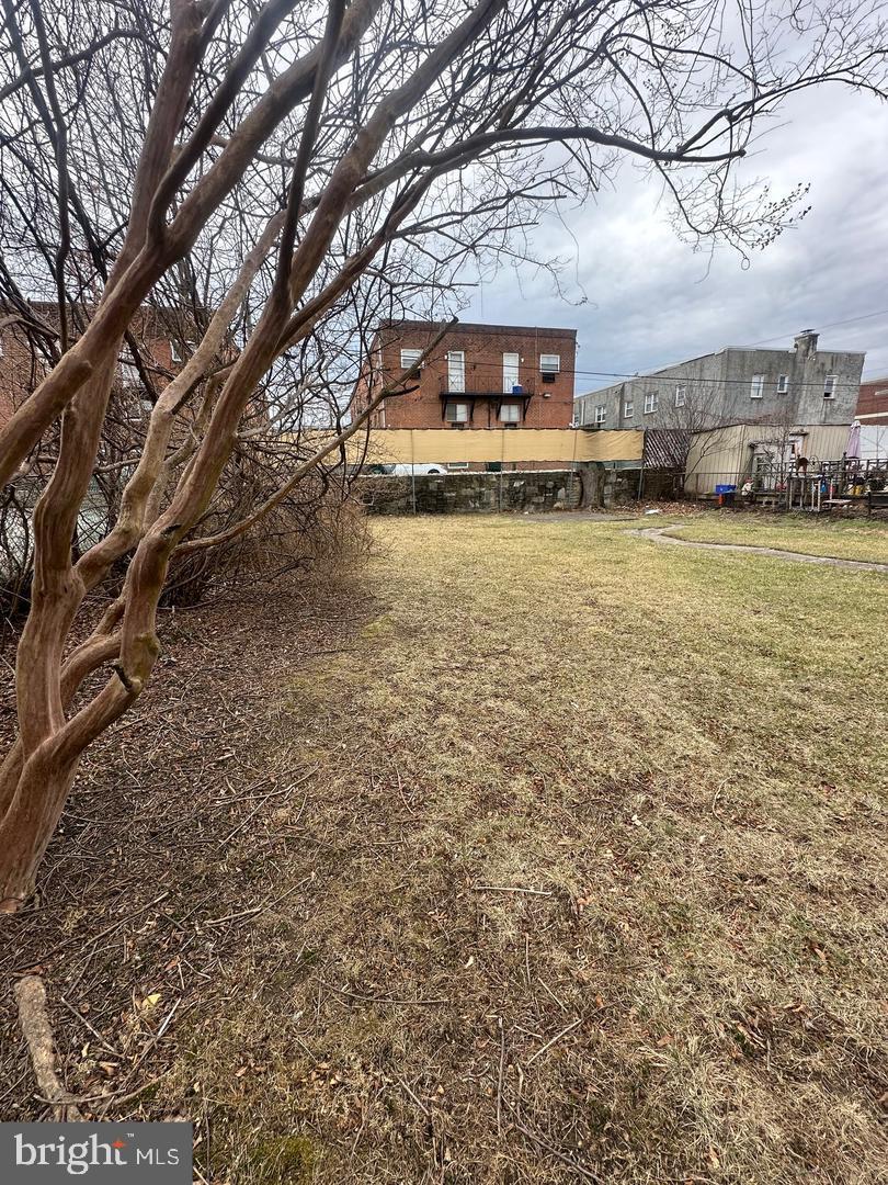 7538 Forrest Avenue Philadelphia, PA 19150 - Photo 8 of 16 a view of a building with large trees