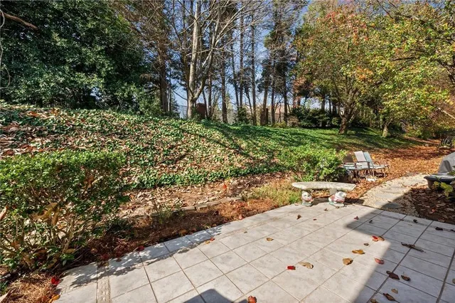 a view of backyard with green space