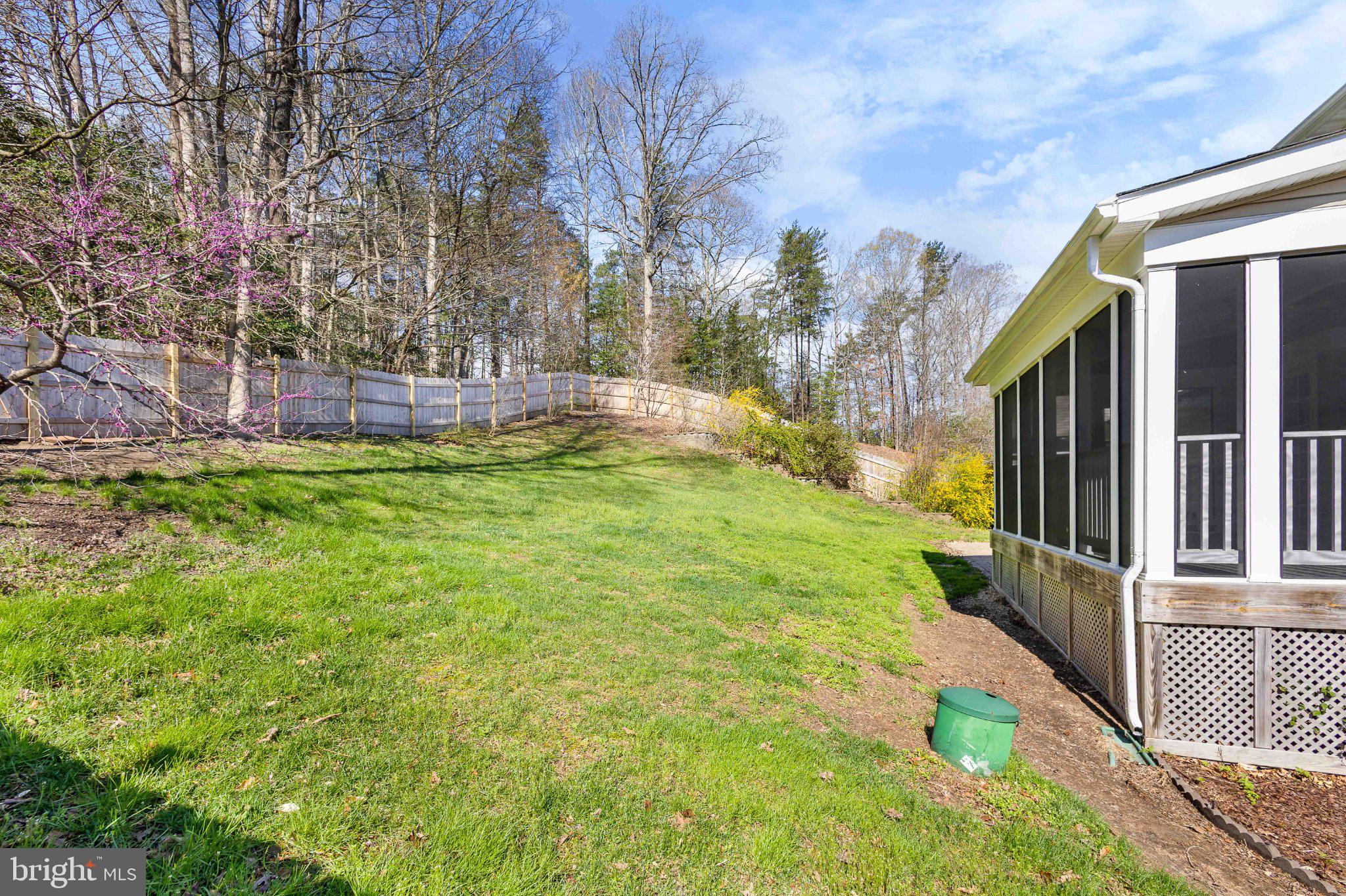 9084 Mullen Road King George, VA 22485 - Photo 21 of 41 Serene backyard with lush greenery.