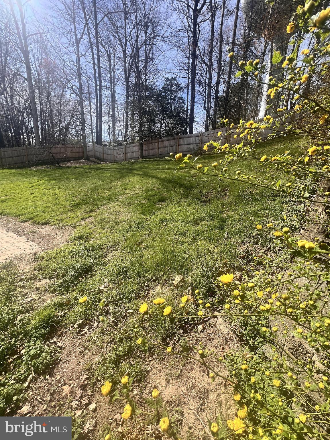 9084 Mullen Road King George, VA 22485 - Photo 3 of 41 Backyard