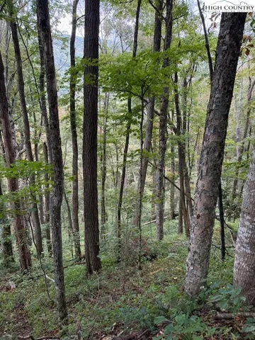 a view of outdoor space and green space
