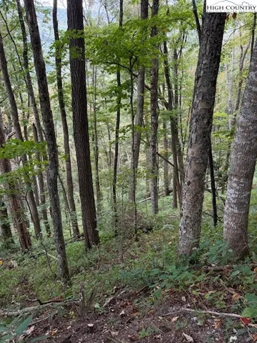a view of outdoor space and green space