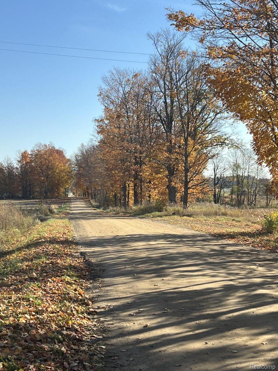 4809 Elm Creek Road North Branch, MI 48461 - Photo 24 of 29 Gallery Image 24