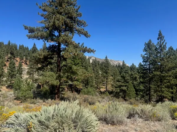 a view of a tree in a field of the house