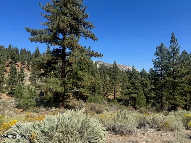 $1,300,000 | 3521 Cutoff Trail, Unit 14, Carson City, NV 89705