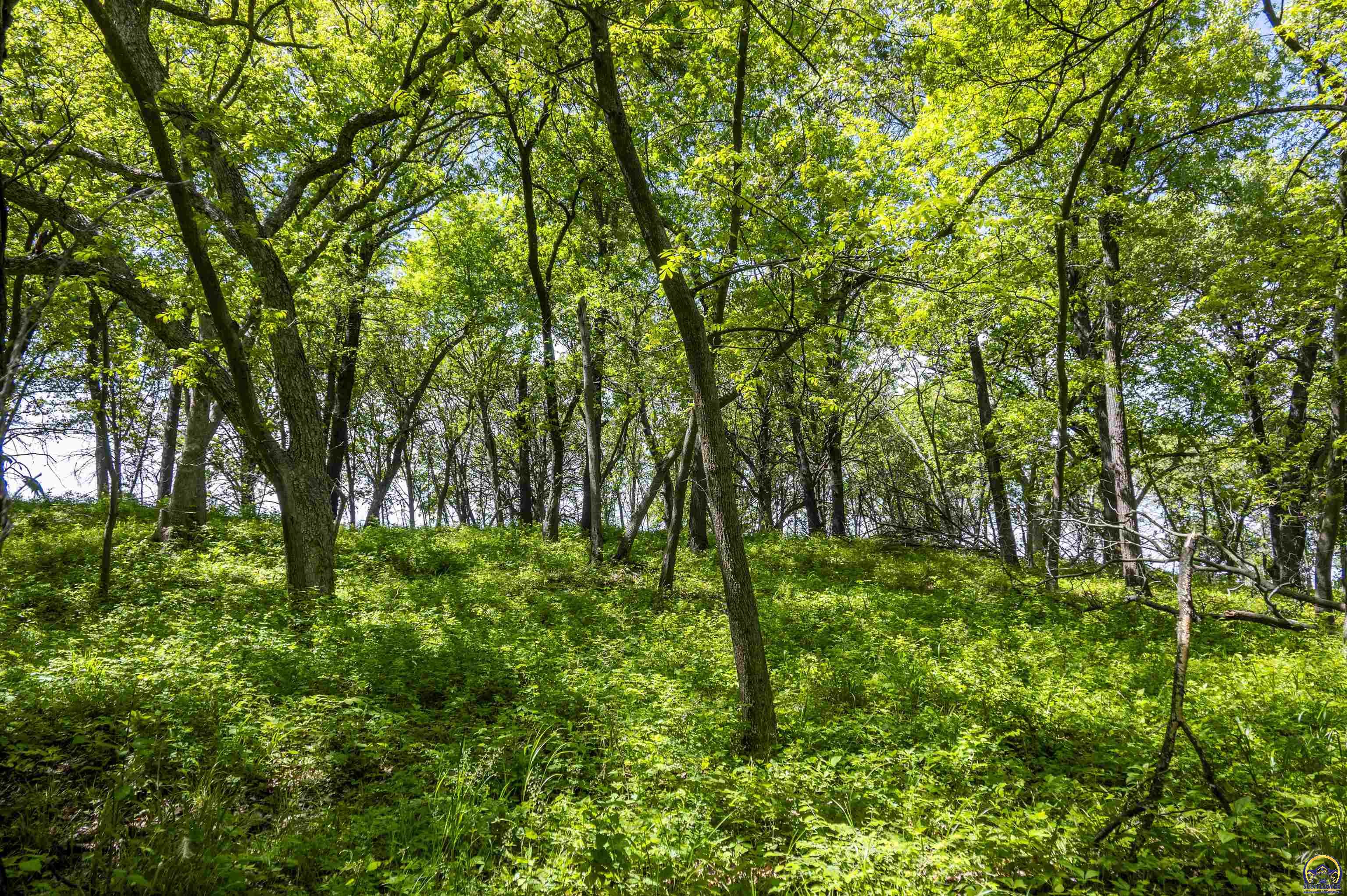 2026 Northwest Douglas Road Topeka, KS 66615 - Photo 42 of 94